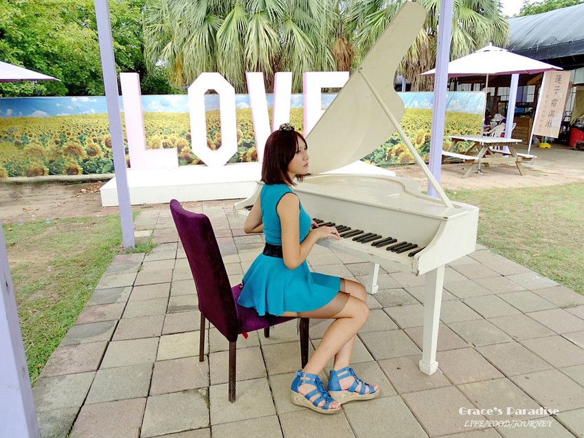 向陽農場-桃園親子免費景點 (11).jpg