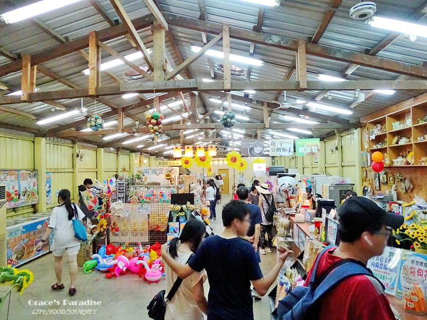 向陽農場-桃園親子免費景點 (33).jpg