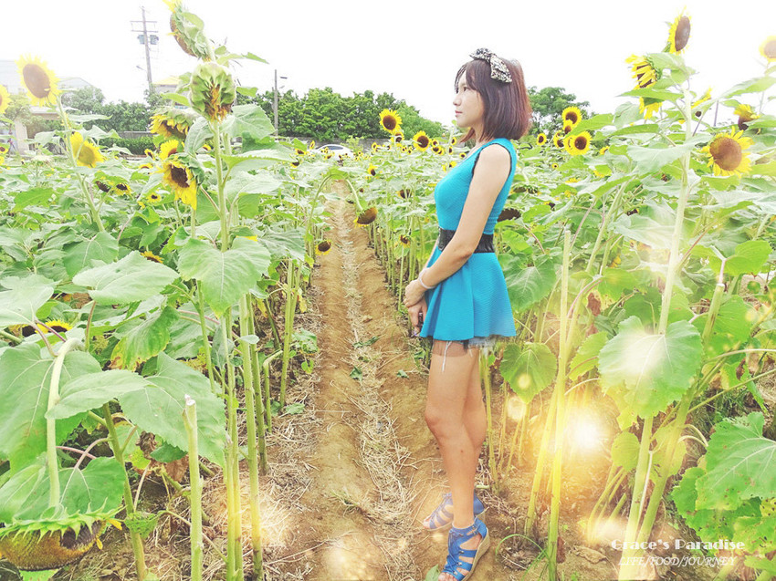 向陽農場-桃園親子免費景點 (21).jpg