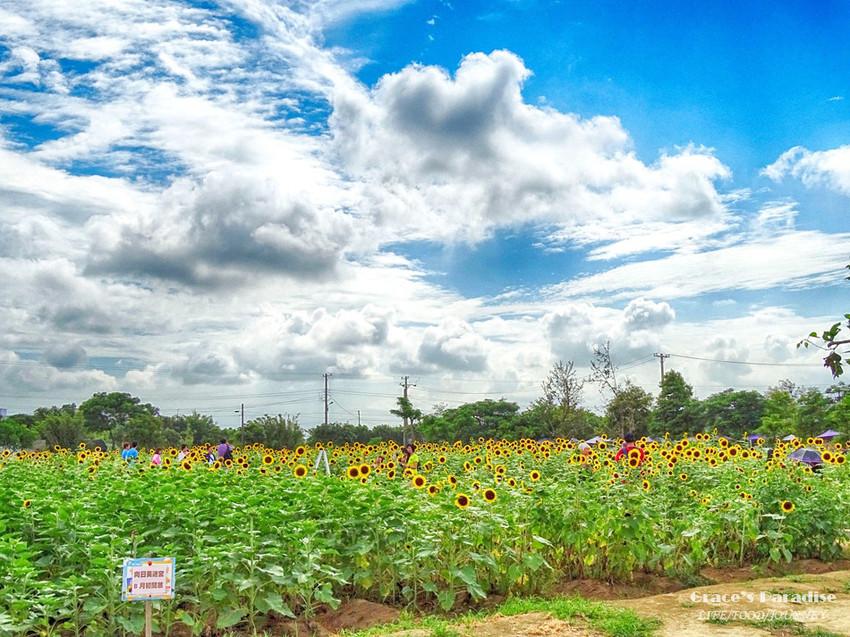 向陽農場-桃園親子免費景點 (28).jpg