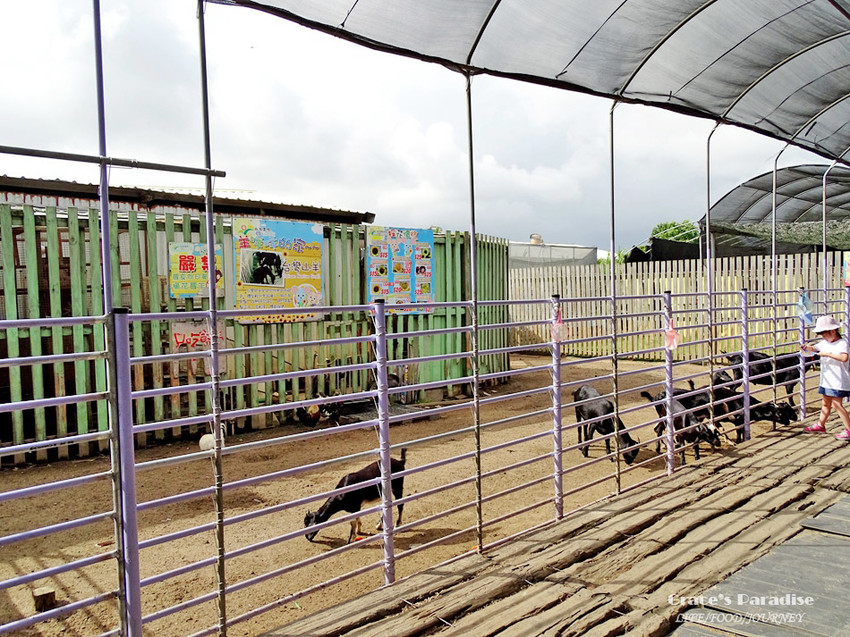 向陽農場-桃園親子免費景點 (30).jpg