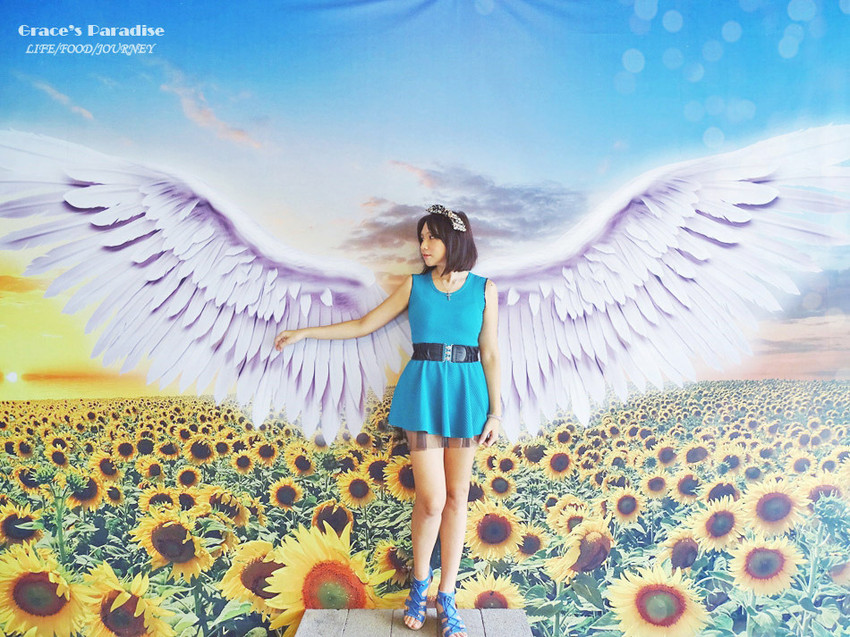 向陽農場-桃園親子免費景點 (1).jpg