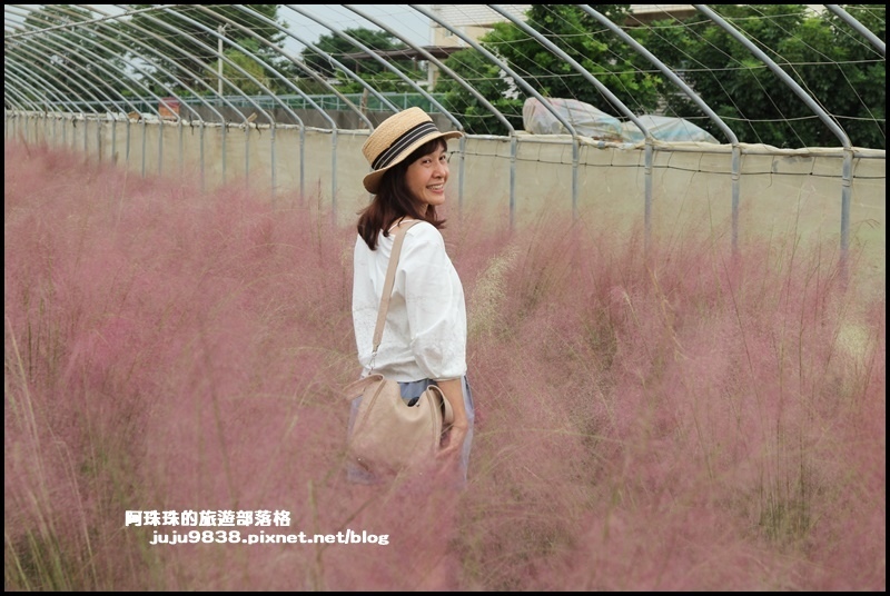 向陽農場7.JPG