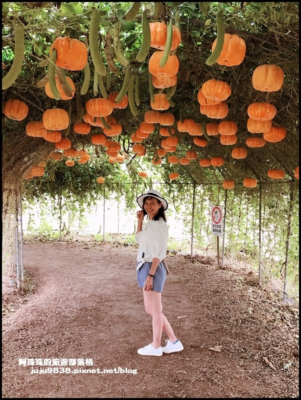 向陽農場53.JPG