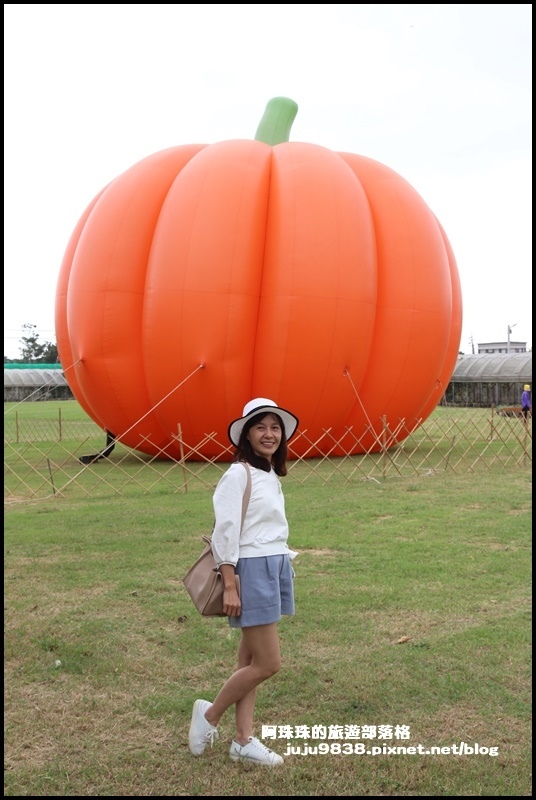 向陽農場56.JPG