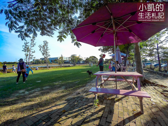 『桃園觀音』| 向陽農場 | 向日葵花海 | 免費景點 | 免門票 | 向日葵主題農場  | 桃園一日遊