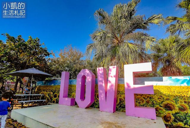 『桃園觀音』| 向陽農場 | 向日葵花海 | 免費景點 | 免門票 | 向日葵主題農場  | 桃園一日遊
