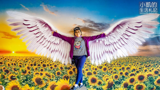 『桃園觀音』| 向陽農場 | 向日葵花海 | 免費景點 | 免門票 | 向日葵主題農場  | 桃園一日遊