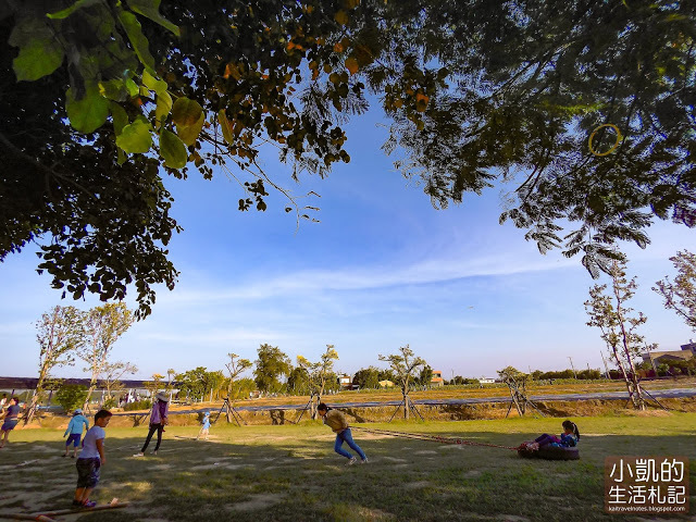 『桃園觀音』| 向陽農場 | 向日葵花海 | 免費景點 | 免門票 | 向日葵主題農場  | 桃園一日遊