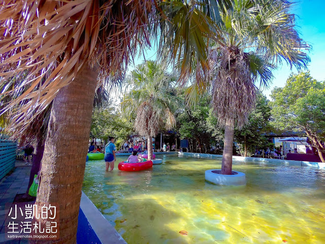 『桃園觀音』| 向陽農場 | 向日葵花海 | 免費景點 | 免門票 | 向日葵主題農場  | 桃園一日遊