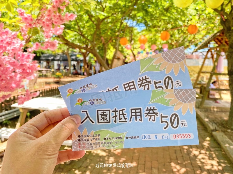 桃園景點 || 北台灣最大的向日葵主題農場「向陽農場」，大片向日葵花海超好拍！