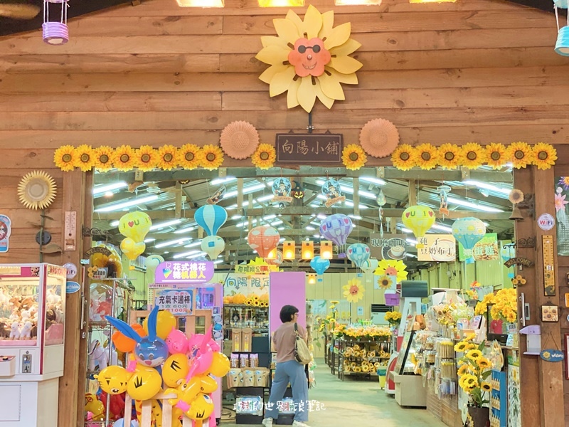 桃園景點 || 北台灣最大的向日葵主題農場「向陽農場」，大片向日葵花海超好拍！