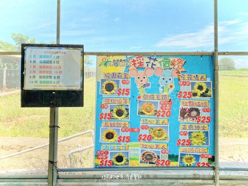 桃園景點 || 北台灣最大的向日葵主題農場「向陽農場」，大片向日葵花海超好拍！