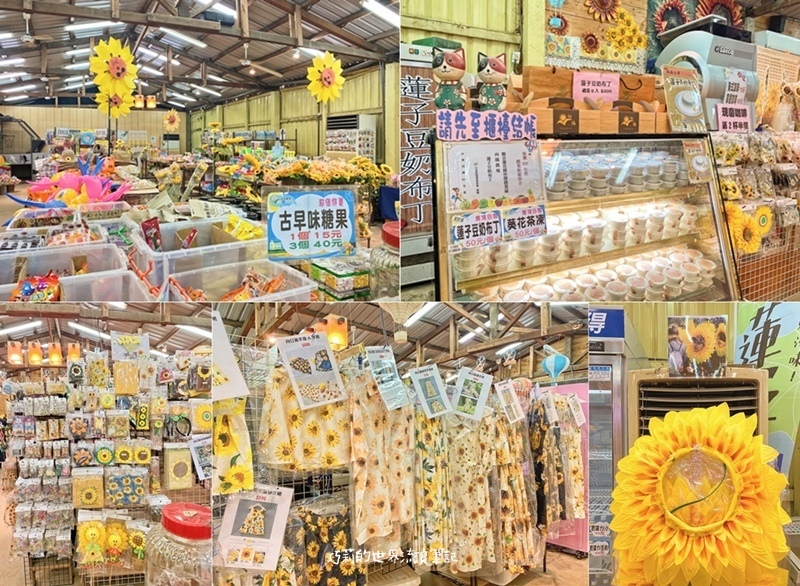 桃園景點 || 北台灣最大的向日葵主題農場「向陽農場」，大片向日葵花海超好拍！