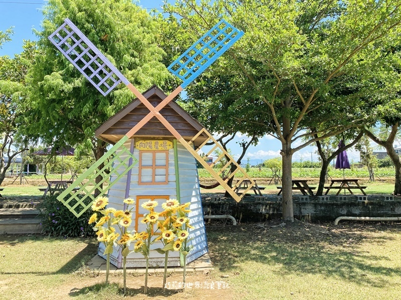 桃園景點 || 北台灣最大的向日葵主題農場「向陽農場」，大片向日葵花海超好拍！
