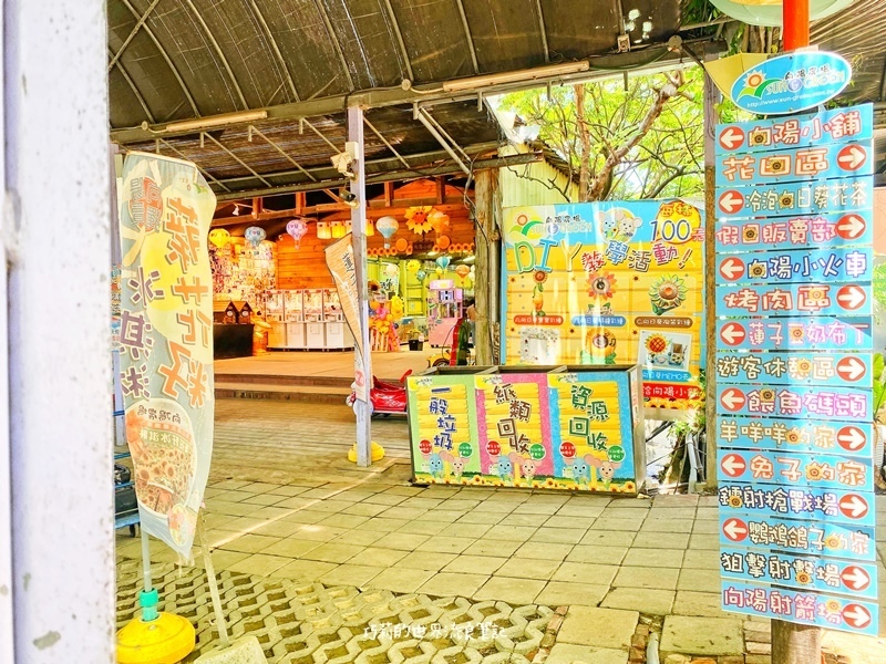 桃園景點 || 北台灣最大的向日葵主題農場「向陽農場」，大片向日葵花海超好拍！