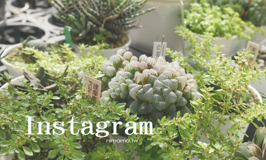 吃零食不罪惡:喬山生機非油炸零食Amazin Graze巧克力布朗尼脆片 - 婗媽。甜栗子的品味生活/美妝保養