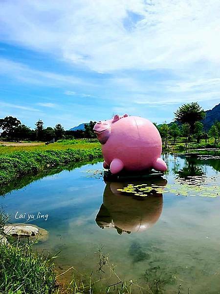 /tmp/php978ejf /tmp/php978ejf