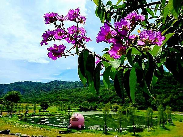 /tmp/phpxpyxGg /tmp/phpxpyxGg