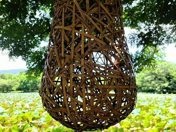 /tmp/phpyVs0PR /tmp/phpyVs0PR