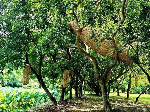 /tmp/phpgdL9Wu /tmp/phpgdL9Wu