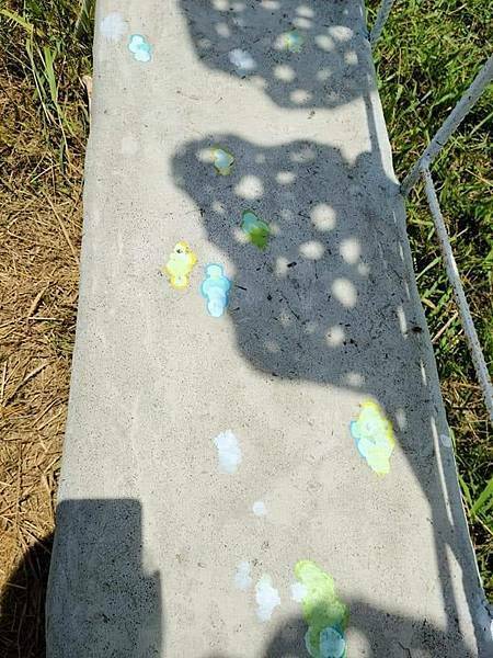 /tmp/phpCjJLld /tmp/phpCjJLld