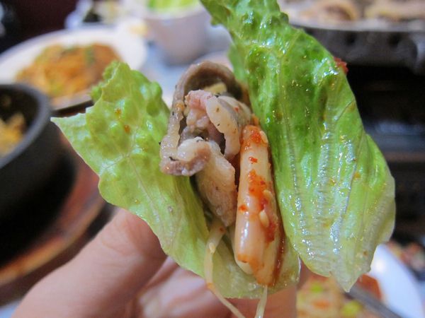 IMG_8462.JPG IMG_8462.JPG