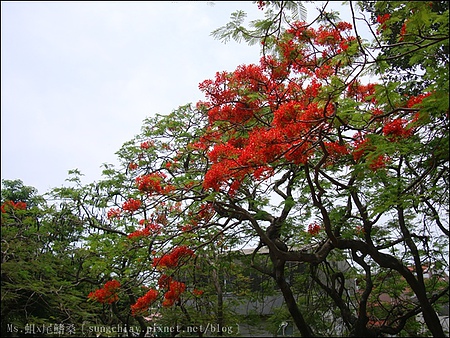 安平古堡：［台南安平］安平古堡．台灣最古老的城堡