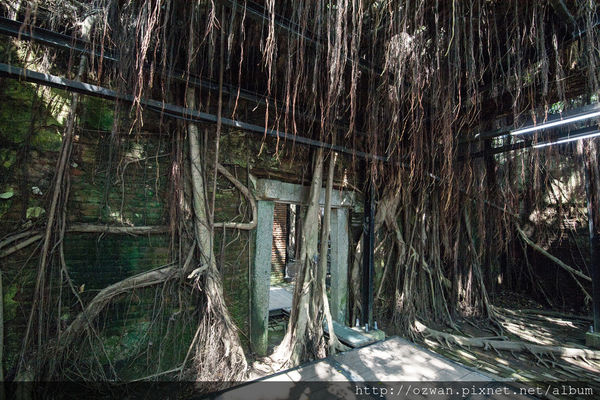 [玩樂]熱情陽溢手拉手台南2日走啊走～西螺、安平、藍晒圖文創園區。