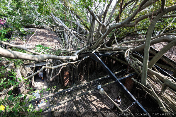 [玩樂]熱情陽溢手拉手台南2日走啊走～西螺、安平、藍晒圖文創園區。