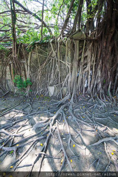 [玩樂]熱情陽溢手拉手台南2日走啊走～西螺、安平、藍晒圖文創園區。