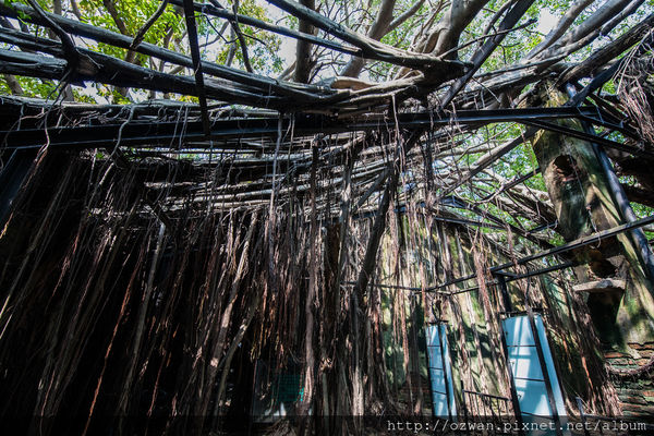 [玩樂]熱情陽溢手拉手台南2日走啊走～西螺、安平、藍晒圖文創園區。