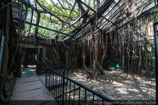 [玩樂]熱情陽溢手拉手台南2日走啊走～西螺、安平、藍晒圖文創園區。