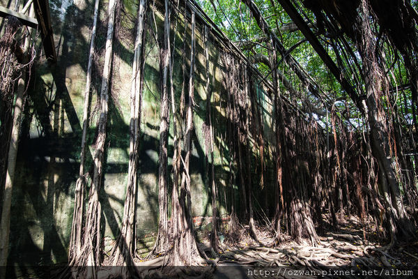 [玩樂]熱情陽溢手拉手台南2日走啊走～西螺、安平、藍晒圖文創園區。