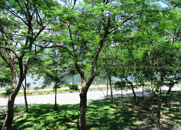 安多尼歐法式餐廳：旖旎河畔‧法式饗宴~  安多尼歐法式餐廳   ..愛評體驗團