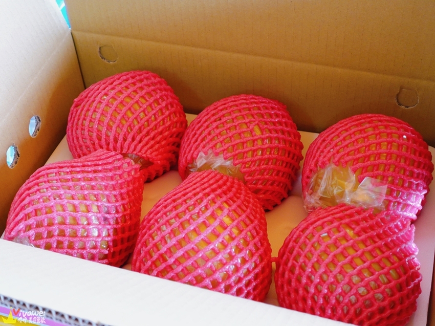 苗栗大湖｜『大湖尊梨季』大湖不只有草莓~還有果脆汁多的好吃尊梨~值得推薦! - 瑋瑋＊美食萬歲