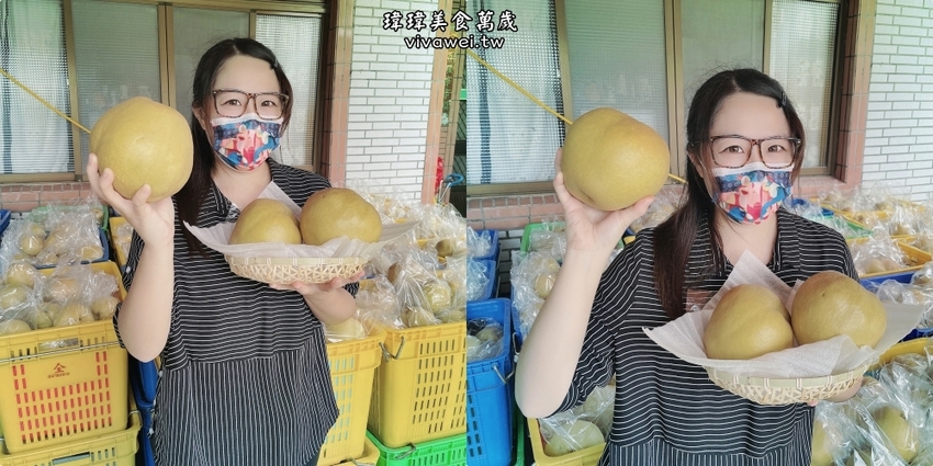 苗栗大湖｜『大湖尊梨季』大湖不只有草莓~還有果脆汁多的好吃尊梨~值得推薦! - 瑋瑋＊美食萬歲