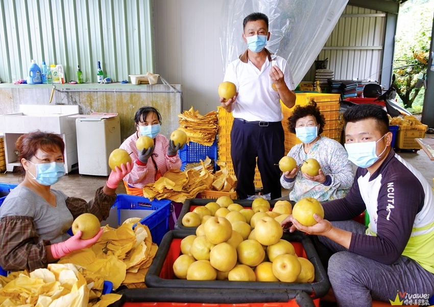 苗栗大湖｜『大湖尊梨季』大湖不只有草莓~還有果脆汁多的好吃尊梨~值得推薦! - 瑋瑋＊美食萬歲