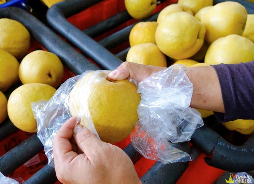 苗栗大湖｜『大湖尊梨季』大湖不只有草莓~還有果脆汁多的好吃尊梨~值得推薦! - 瑋瑋＊美食萬歲