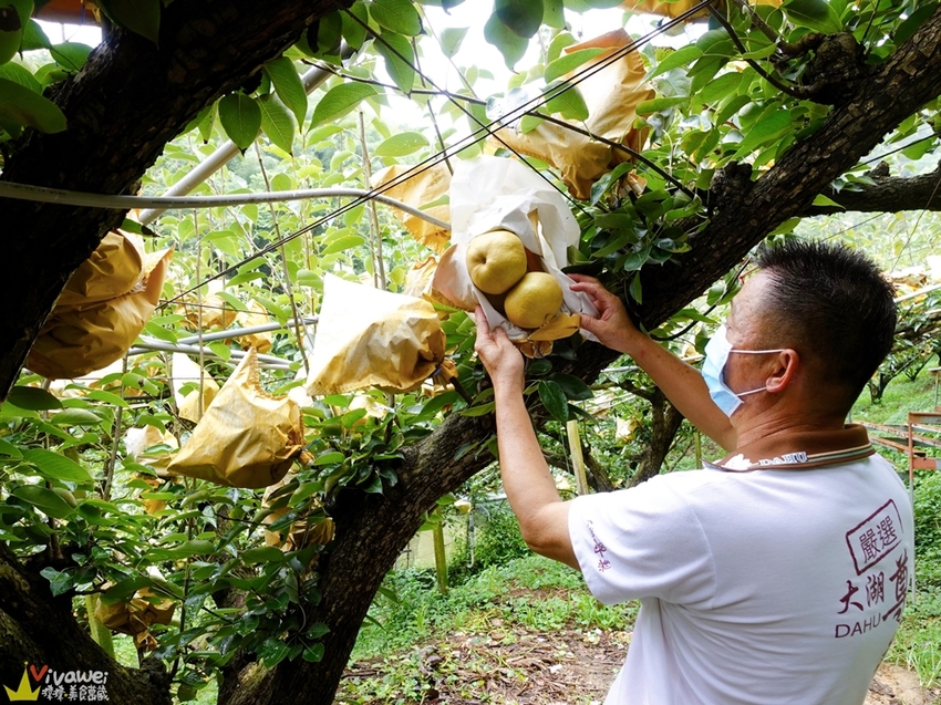 苗栗大湖｜『大湖尊梨季』大湖不只有草莓~還有果脆汁多的好吃尊梨~值得推薦! - 瑋瑋＊美食萬歲