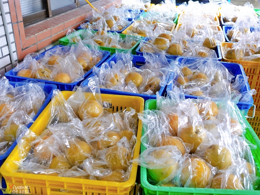 苗栗大湖｜『大湖尊梨季』大湖不只有草莓~還有果脆汁多的好吃尊梨~值得推薦! - 瑋瑋＊美食萬歲