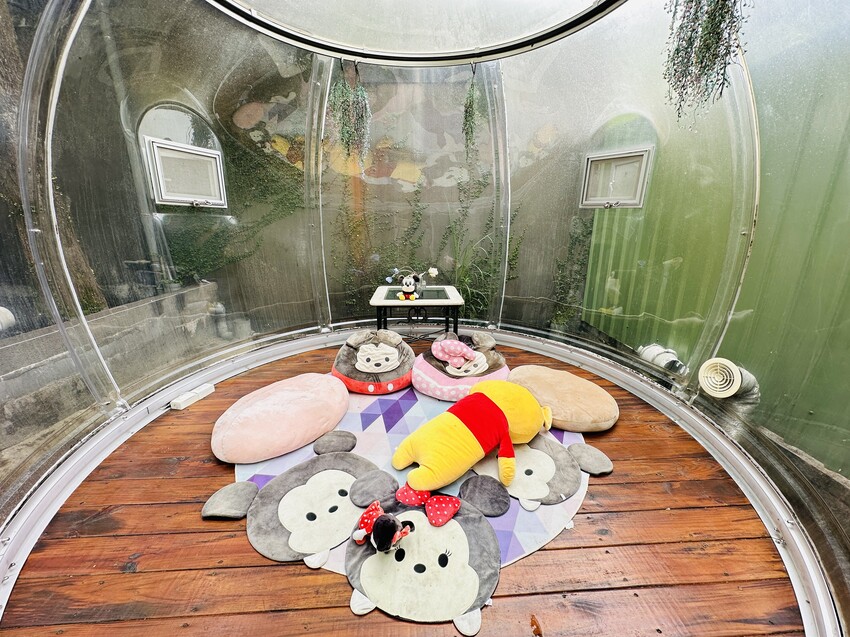 【鳳梨屋水上莊園】宜蘭員山超人氣親子景點!一泊三食住進落羽松 【鳳梨屋水上莊園】宜蘭員山超人氣親子景點!一泊三食住進落羽松