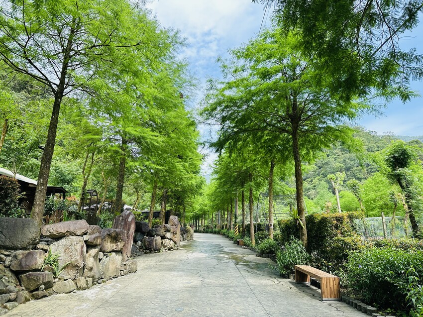 【鳳梨屋水上莊園】宜蘭員山超人氣親子景點!一泊三食住進落羽松 【鳳梨屋水上莊園】宜蘭員山超人氣親子景點!一泊三食住進落羽松