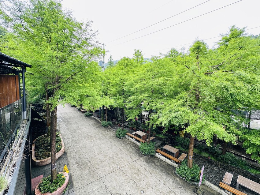 【鳳梨屋水上莊園】宜蘭員山超人氣親子景點!一泊三食住進落羽松 【鳳梨屋水上莊園】宜蘭員山超人氣親子景點!一泊三食住進落羽松