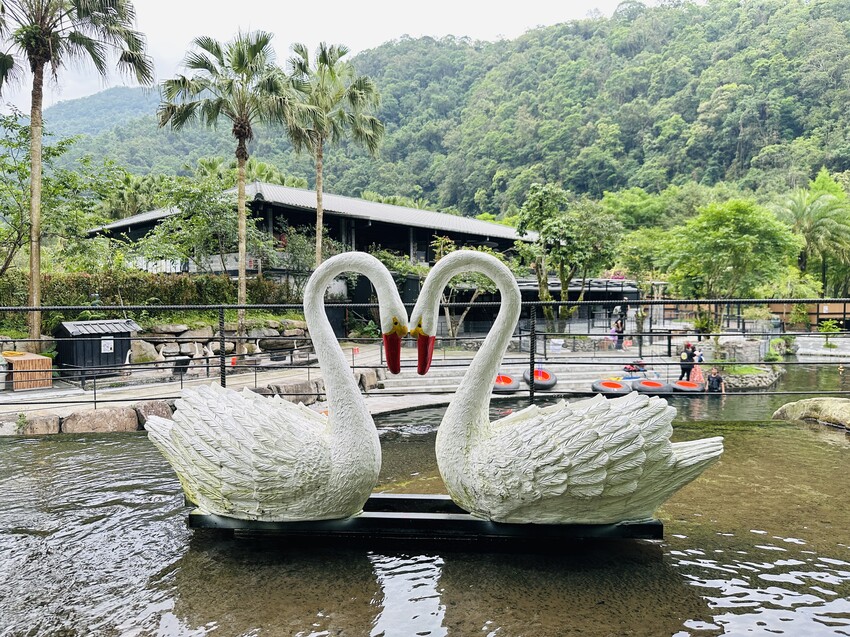 【鳳梨屋水上莊園】宜蘭員山超人氣親子景點!一泊三食住進落羽松 【鳳梨屋水上莊園】宜蘭員山超人氣親子景點!一泊三食住進落羽松