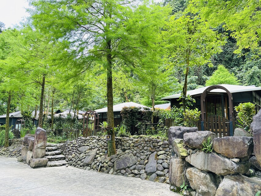 【鳳梨屋水上莊園】宜蘭員山超人氣親子景點!一泊三食住進落羽松 【鳳梨屋水上莊園】宜蘭員山超人氣親子景點!一泊三食住進落羽松