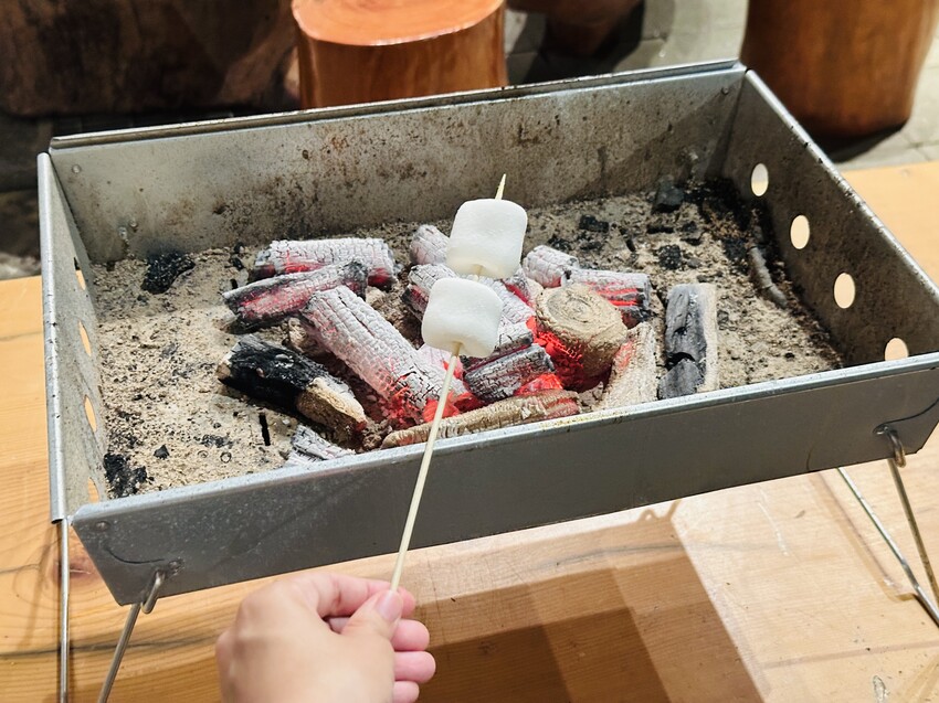 【鳳梨屋水上莊園】宜蘭員山超人氣親子景點!一泊三食住進落羽松 【鳳梨屋水上莊園】宜蘭員山超人氣親子景點!一泊三食住進落羽松