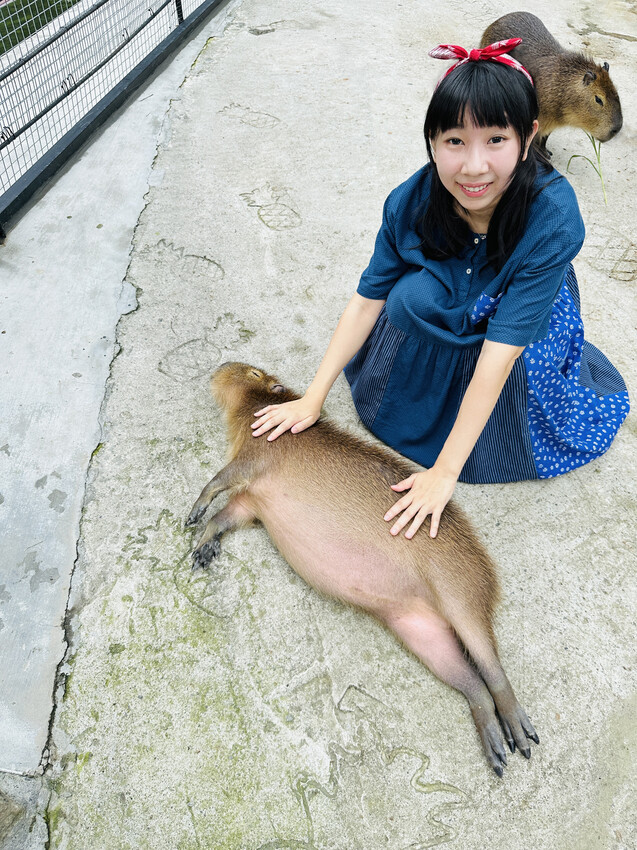 【鳳梨屋水上莊園】宜蘭員山超人氣親子景點!一泊三食住進落羽松 【鳳梨屋水上莊園】宜蘭員山超人氣親子景點!一泊三食住進落羽松