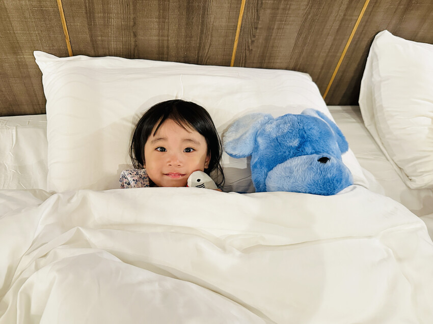 【鳳梨屋水上莊園】宜蘭員山超人氣親子景點!一泊三食住進落羽松 【鳳梨屋水上莊園】宜蘭員山超人氣親子景點!一泊三食住進落羽松