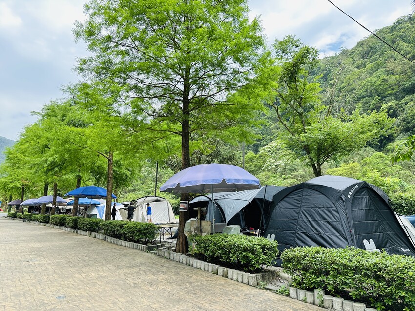 【鳳梨屋水上莊園】宜蘭員山超人氣親子景點!一泊三食住進落羽松 【鳳梨屋水上莊園】宜蘭員山超人氣親子景點!一泊三食住進落羽松